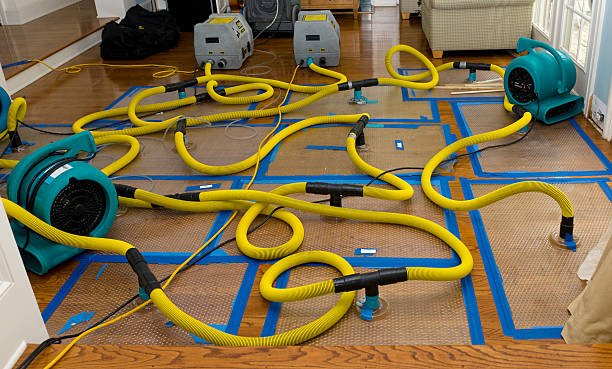 Professional Flood Damage Restoration technician working in Brookhaven, NY